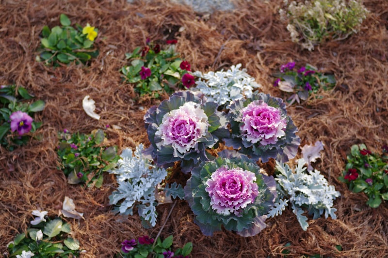 Fresh Mulch Installation